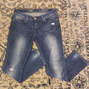 Levi's Demi Curve Straight Leg Jeans, NWOT